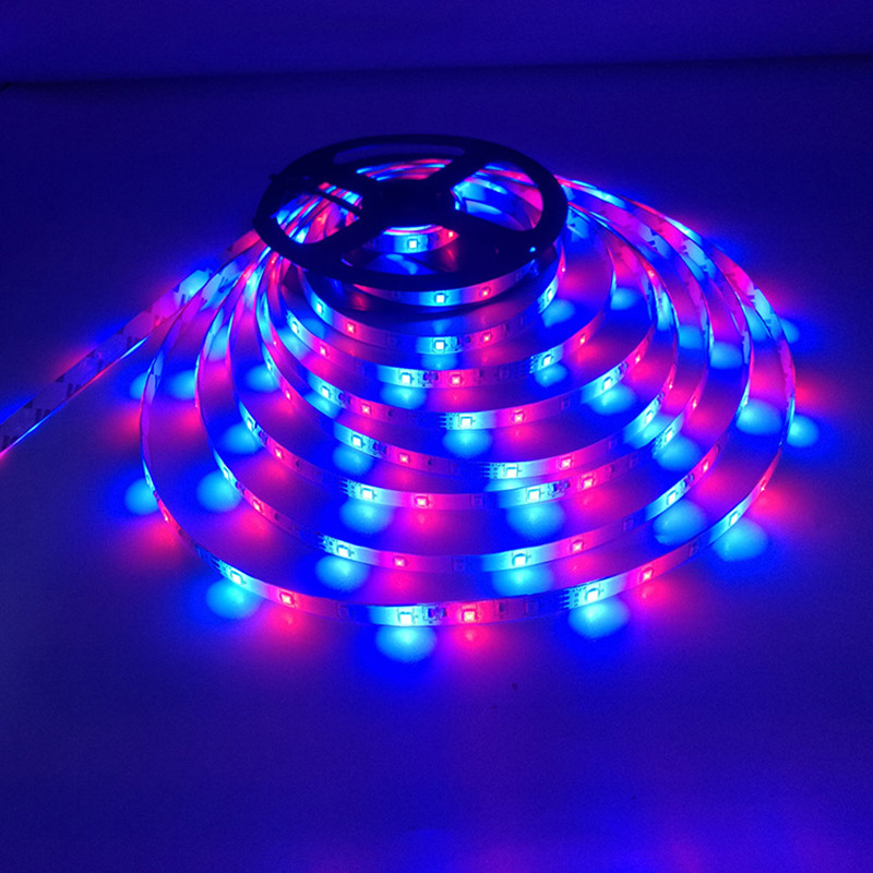 DC12V 32.8ft/10M 60LEDs/M 3528RGB Epoxy Flexible Car Decorative LED Light Strip Kit Dimmable With Remote Controller